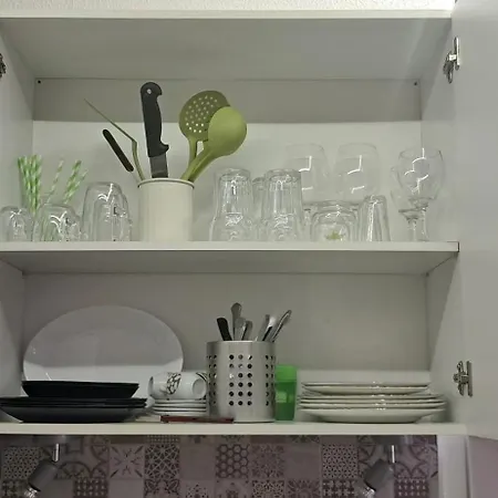 Rabbit 또레비에하